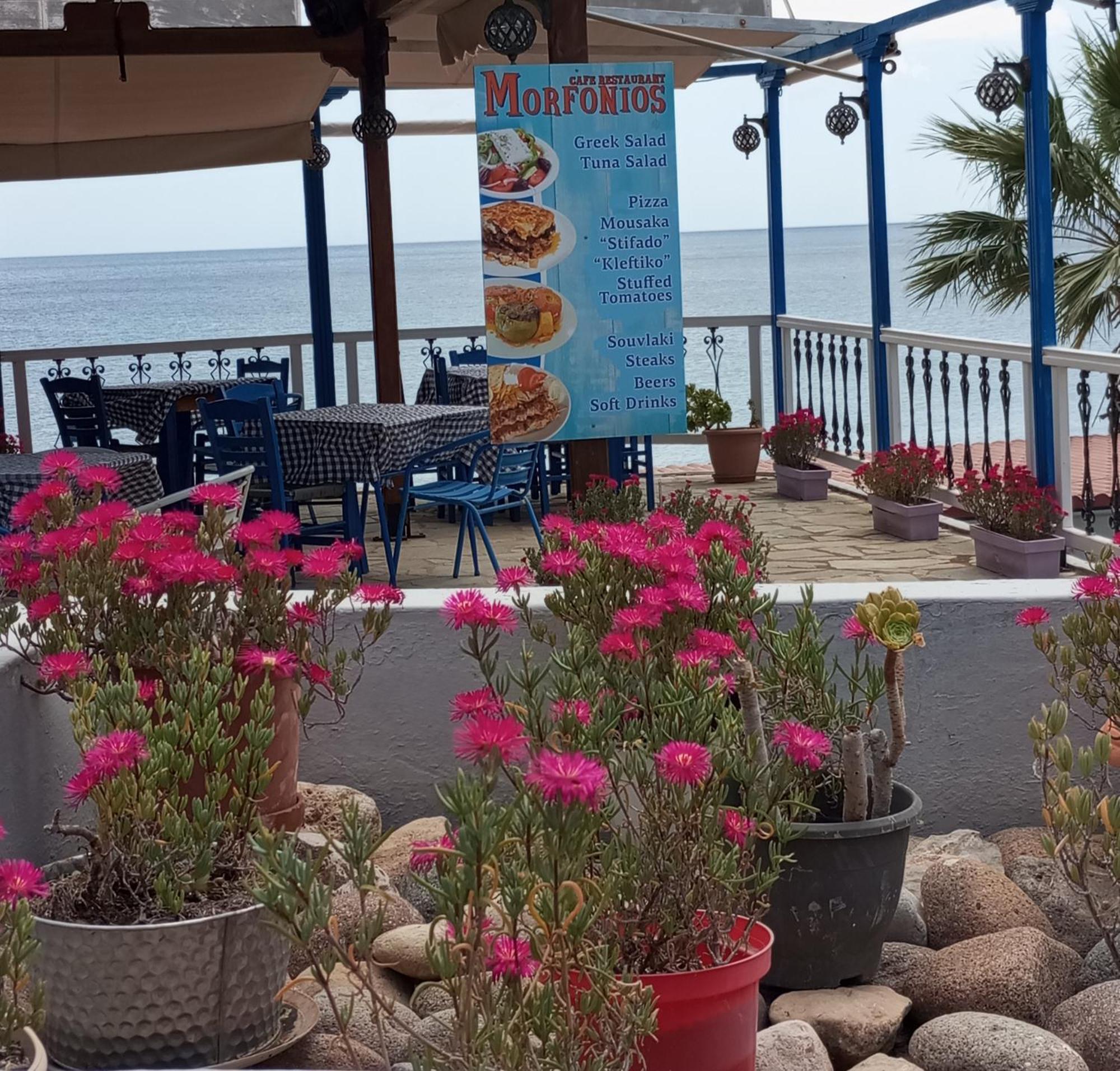 Svetlana & Michalis Oasis Hotel Agia Marina  Экстерьер фото