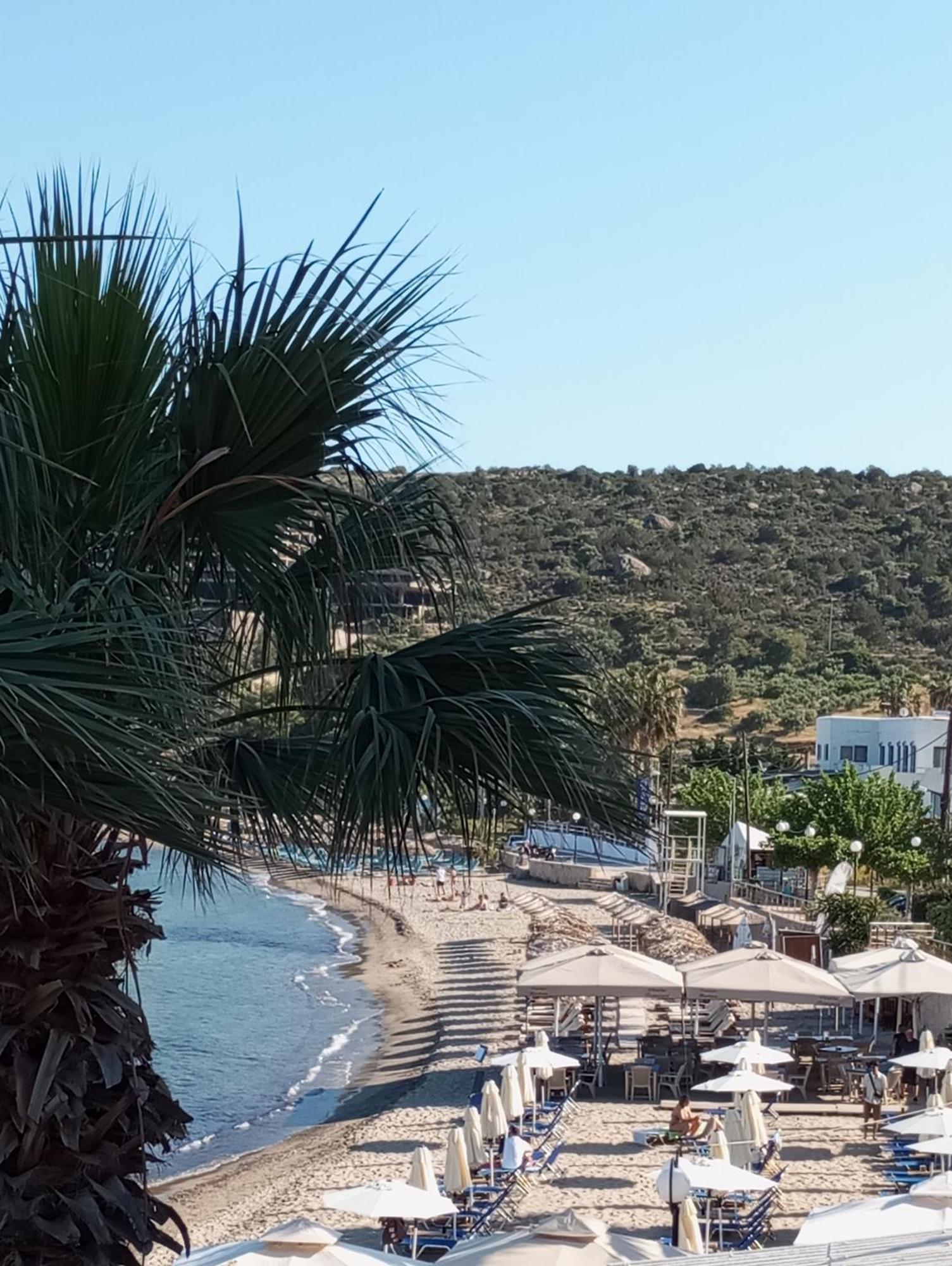 Svetlana & Michalis Oasis Hotel Agia Marina  Экстерьер фото
